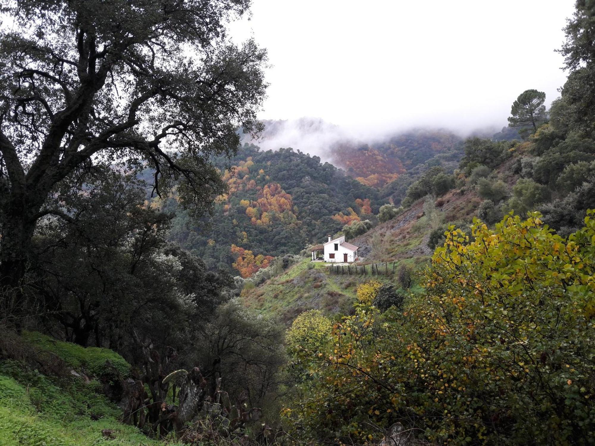 La Casa De La Era Villa Algatocín Kültér fotó